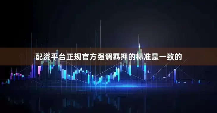 配资平台正规官方强调羁押的标准是一致的