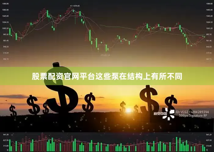 股票配资官网平台这些泵在结构上有所不同
